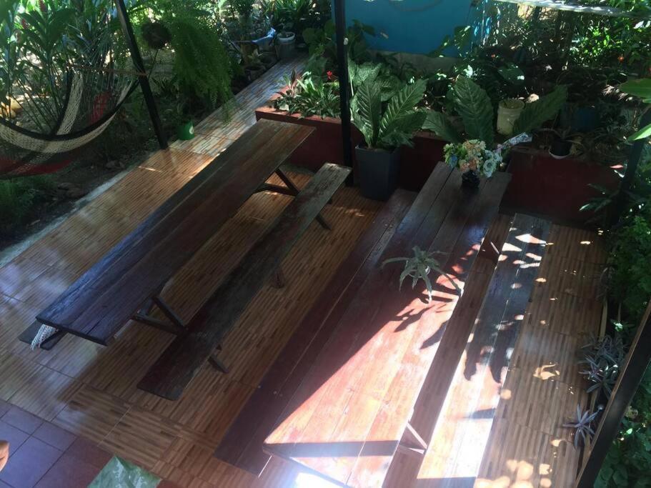 Hospedaje Valencia Osa, Cr Potrero  外观 照片
