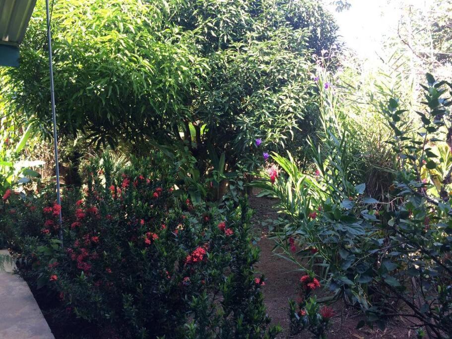 Hospedaje Valencia Osa, Cr Potrero  外观 照片