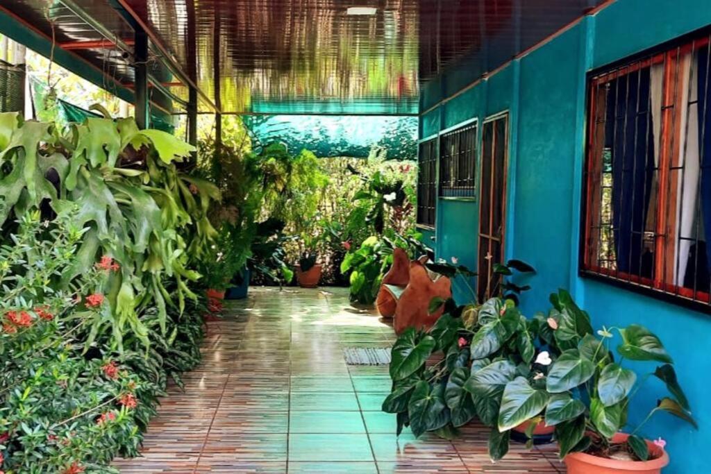 Hospedaje Valencia Osa, Cr Potrero  外观 照片