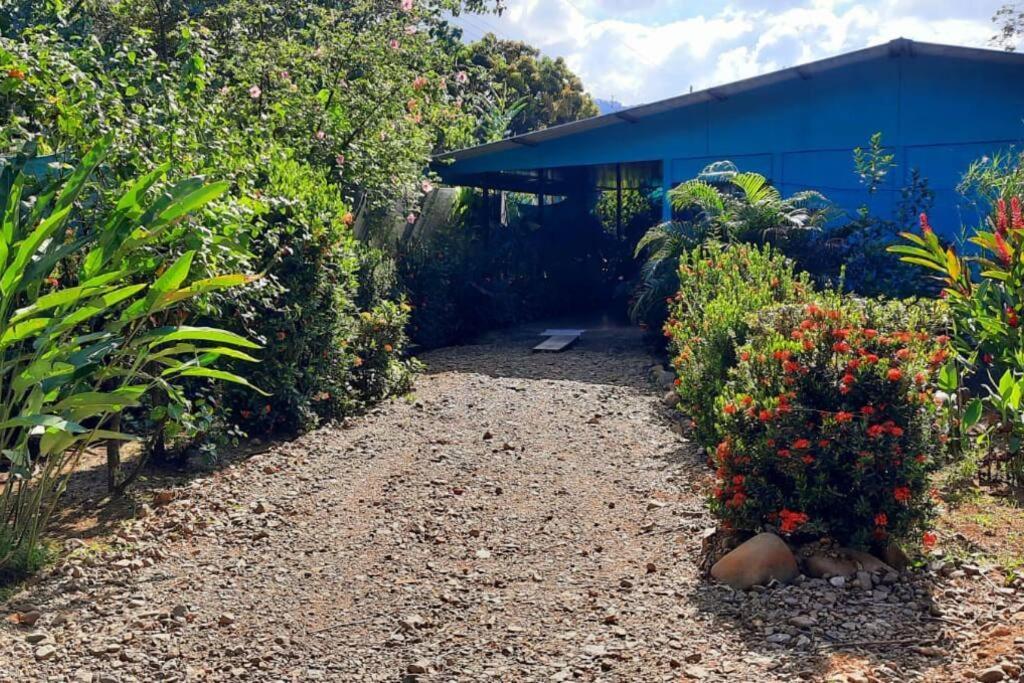 Hospedaje Valencia Osa, Cr Potrero  外观 照片