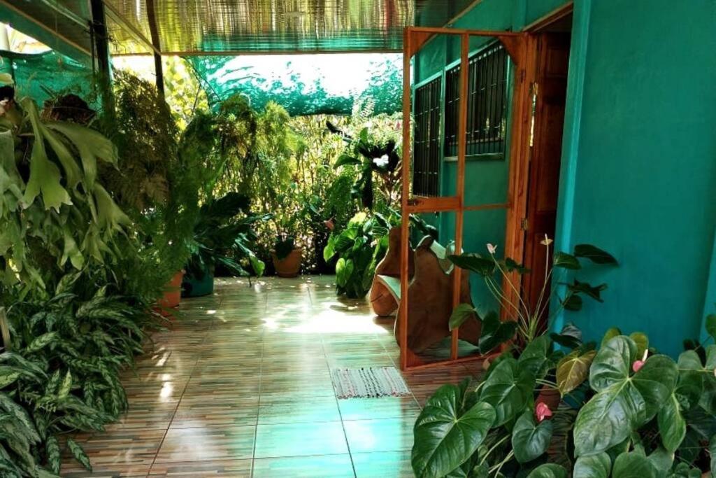 Hospedaje Valencia Osa, Cr Potrero  外观 照片